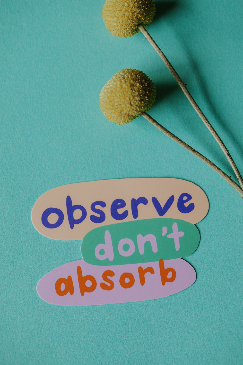 Observe Don't Absorb Sticker